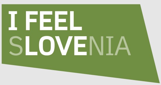 Logo IFEEL SLO slo